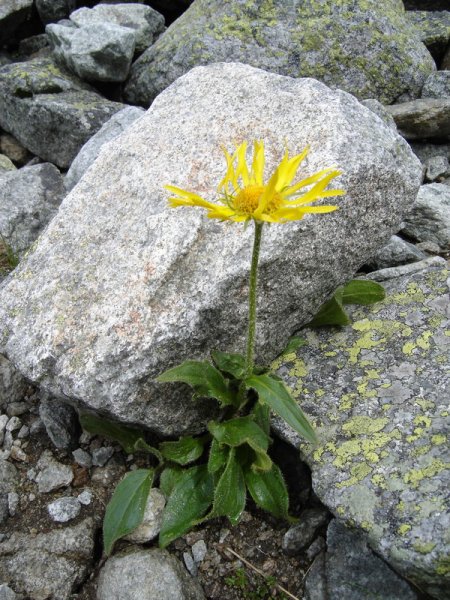 VysokeTatry05_021