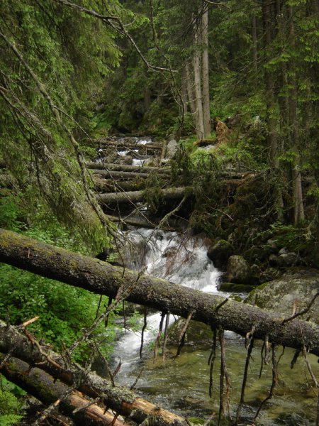 VysokeTatry05_035