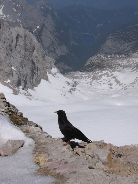 dachstein_2010_32