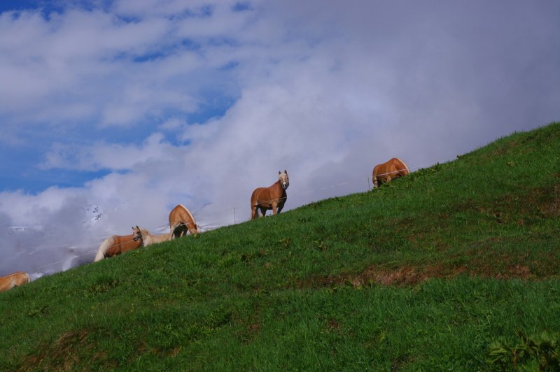 2012_otzalske_alpy_04